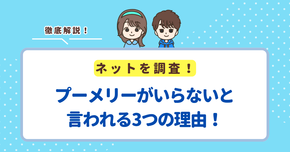 プーメリーがいらないと言われる3つの理由！プーメリーがあると助かるケースも紹介！